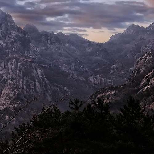 가정 양육수당과 아동수당, 신청 방법을 알아보세요!