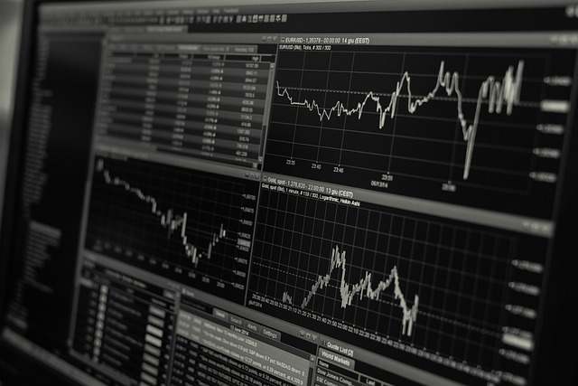 스테이블 코인 거래소별 USDT 테더 지원 여부 확인 리스트 실전 체크필드