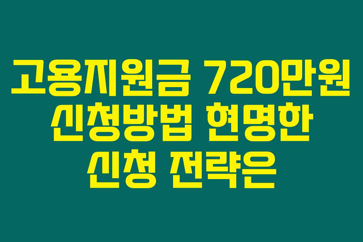 고용지원금 720만원 신청방법 현명한 신청 전략은