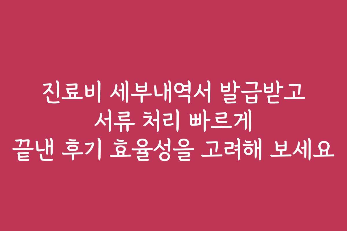진료비 세부내역서 발급받고 서류 처리 빠르게 끝낸 후기 효율성을 고려해 보세요