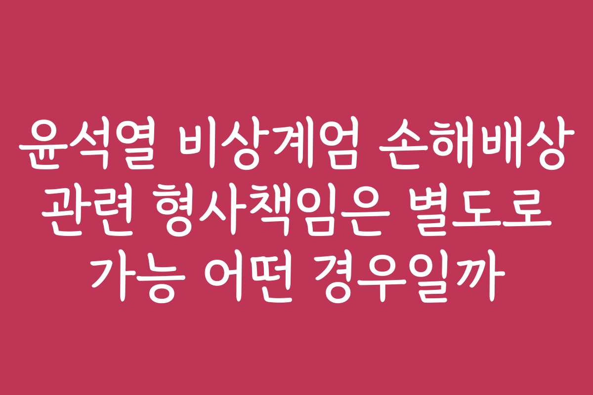 윤석열 비상계엄 손해배상 관련 형사책임은 별도로 가능 어떤 경우일까