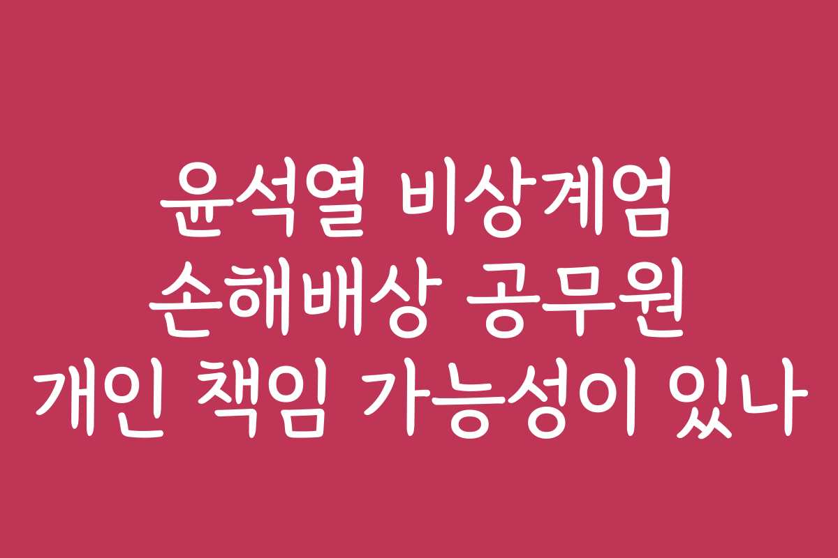 윤석열 비상계엄 손해배상 공무원 개인 책임 가능성이 있나