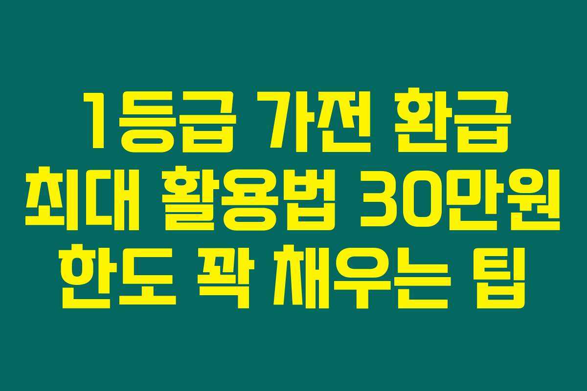 1등급 가전 환급 최대 활용법 30만원 한도 꽉 채우는 팁