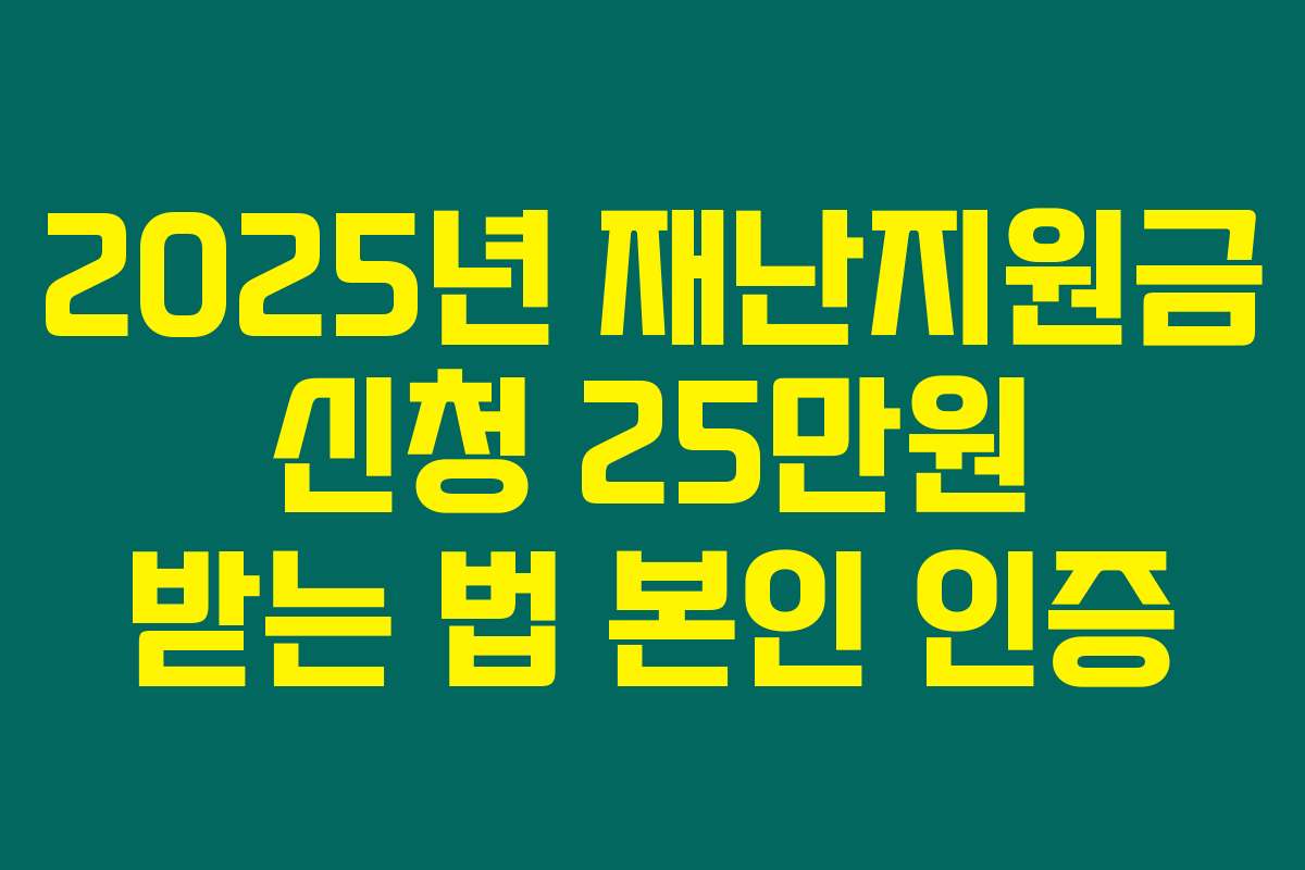 2025년 재난지원금 신청 25만원 받는 법 본인 인증