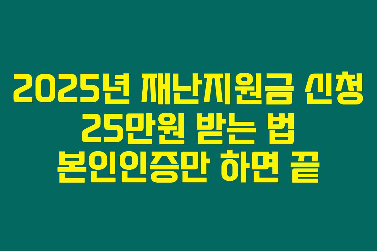2025년 재난지원금 신청 25만원 받는 법 본인인증만 하면 끝