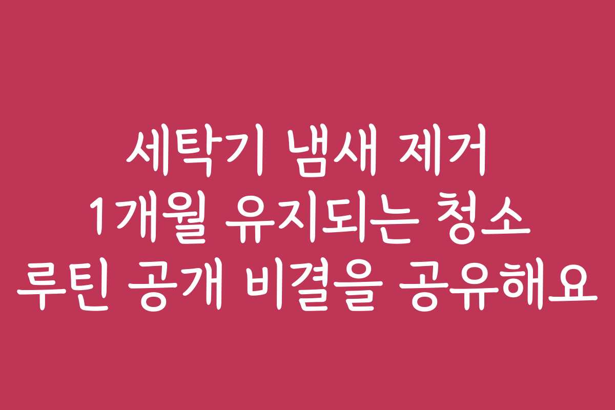 세탁기 냄새 제거 1개월 유지되는 청소 루틴 공개 비결을 공유해요
