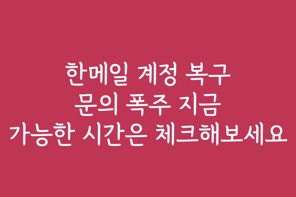 한메일 계정 복구 문의 폭주 지금 가능한 시간은 체크해보세요