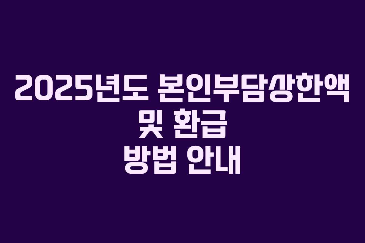 2025년도 본인부담상한액 및 환급 방법 안내