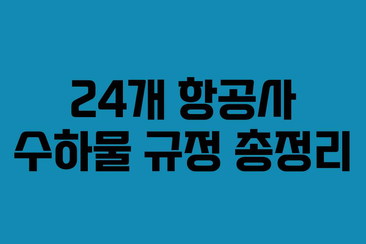 24개 항공사 수하물 규정 총정리