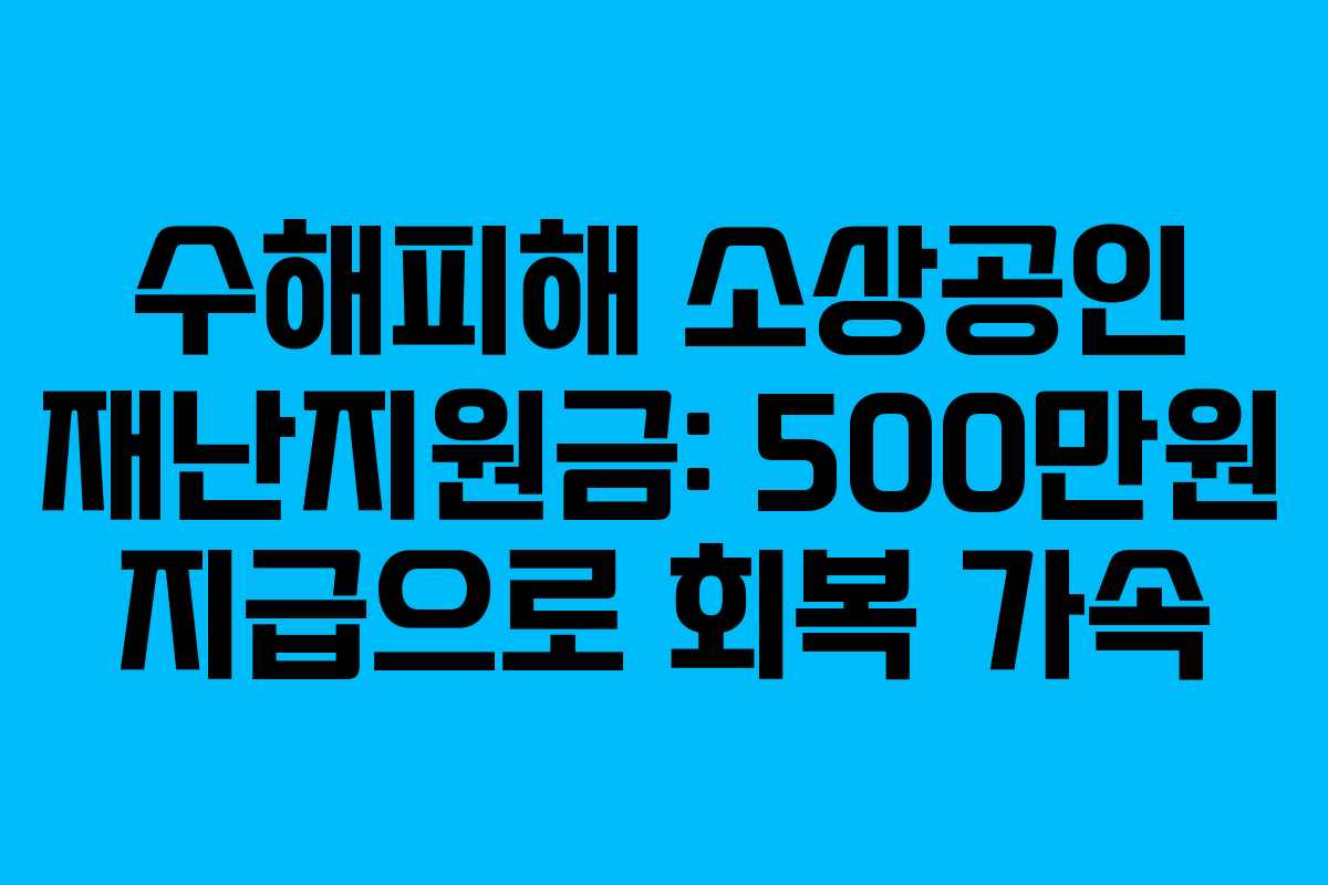 수해피해 소상공인 재난지원금: 500만원 지급으로 회복 가속