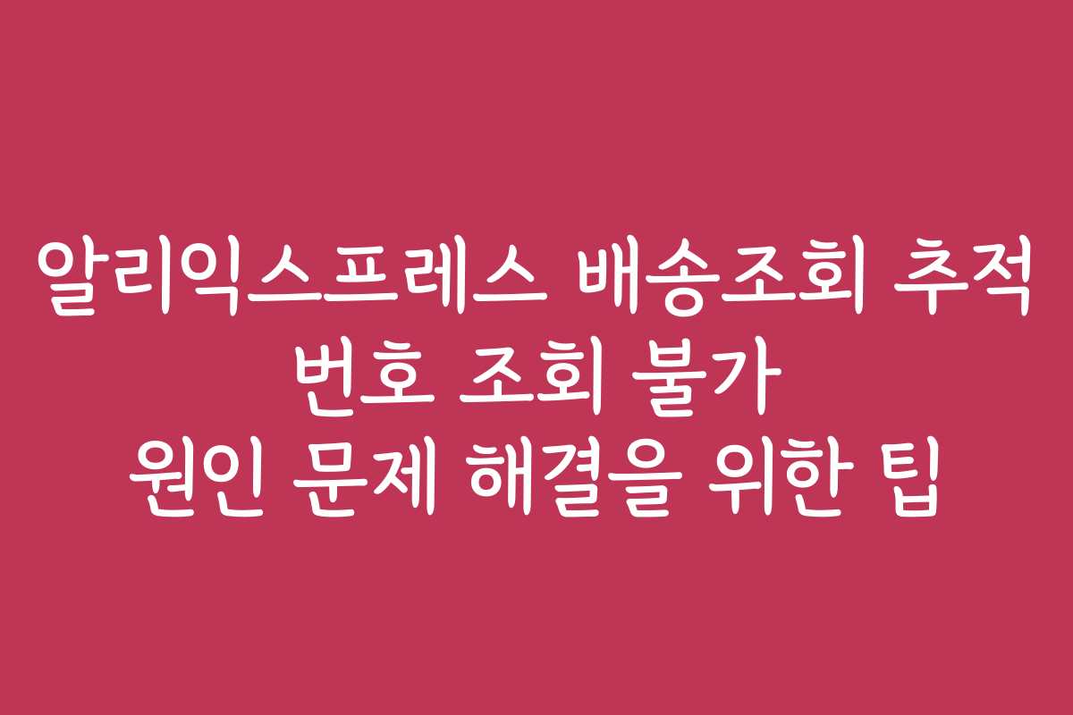 알리익스프레스 배송조회 추적 번호 조회 불가 원인 문제 해결을 위한 팁