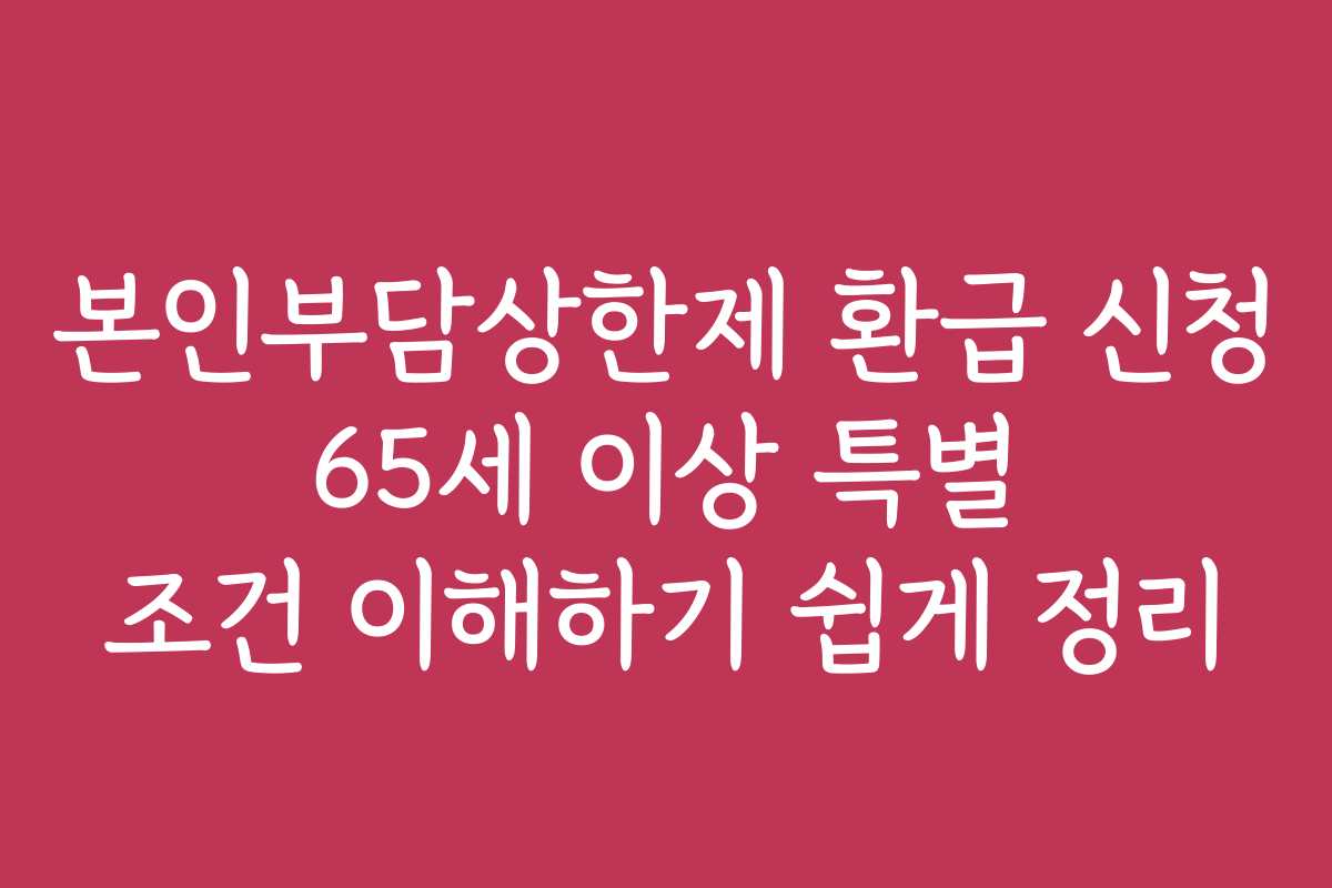 본인부담상한제 환급 신청 65세 이상 특별 조건 이해하기 쉽게 정리