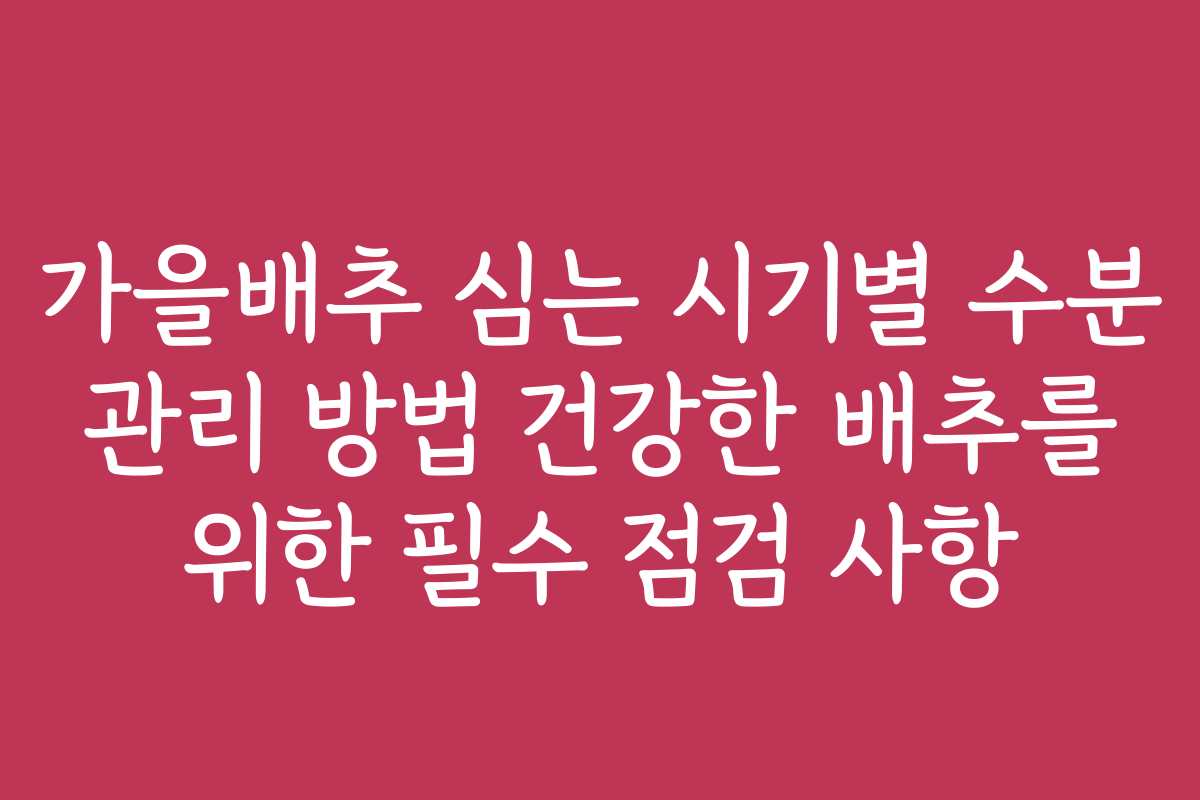 가을배추 심는 시기별 수분 관리 방법 건강한 배추를 위한 필수 점검 사항