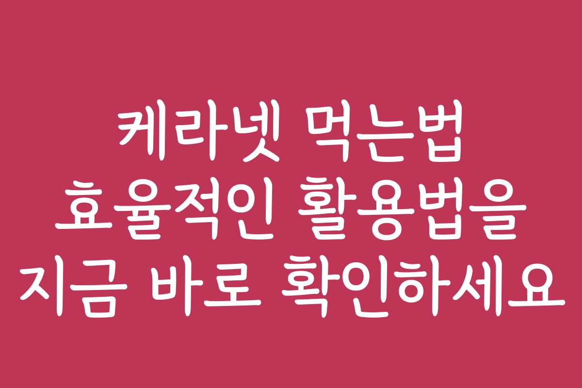 케라넷 먹는법 효율적인 활용법을 지금 바로 확인하세요