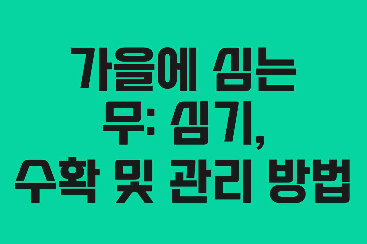 가을에 심는 무: 심기, 수확 및 관리 방법