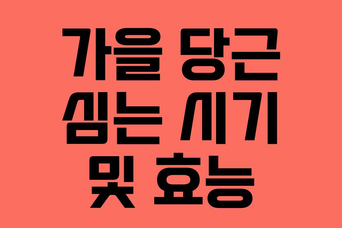 가을 당근 심는 시기 및 효능