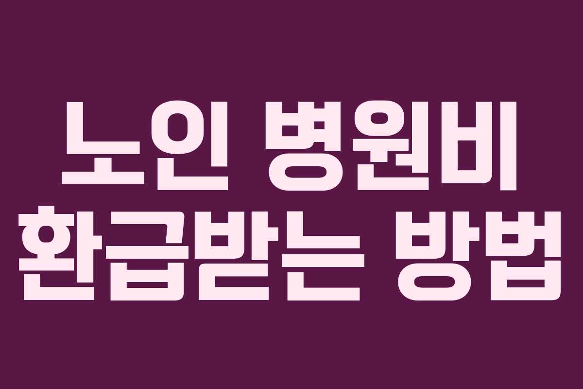 노인 병원비 환급받는 방법