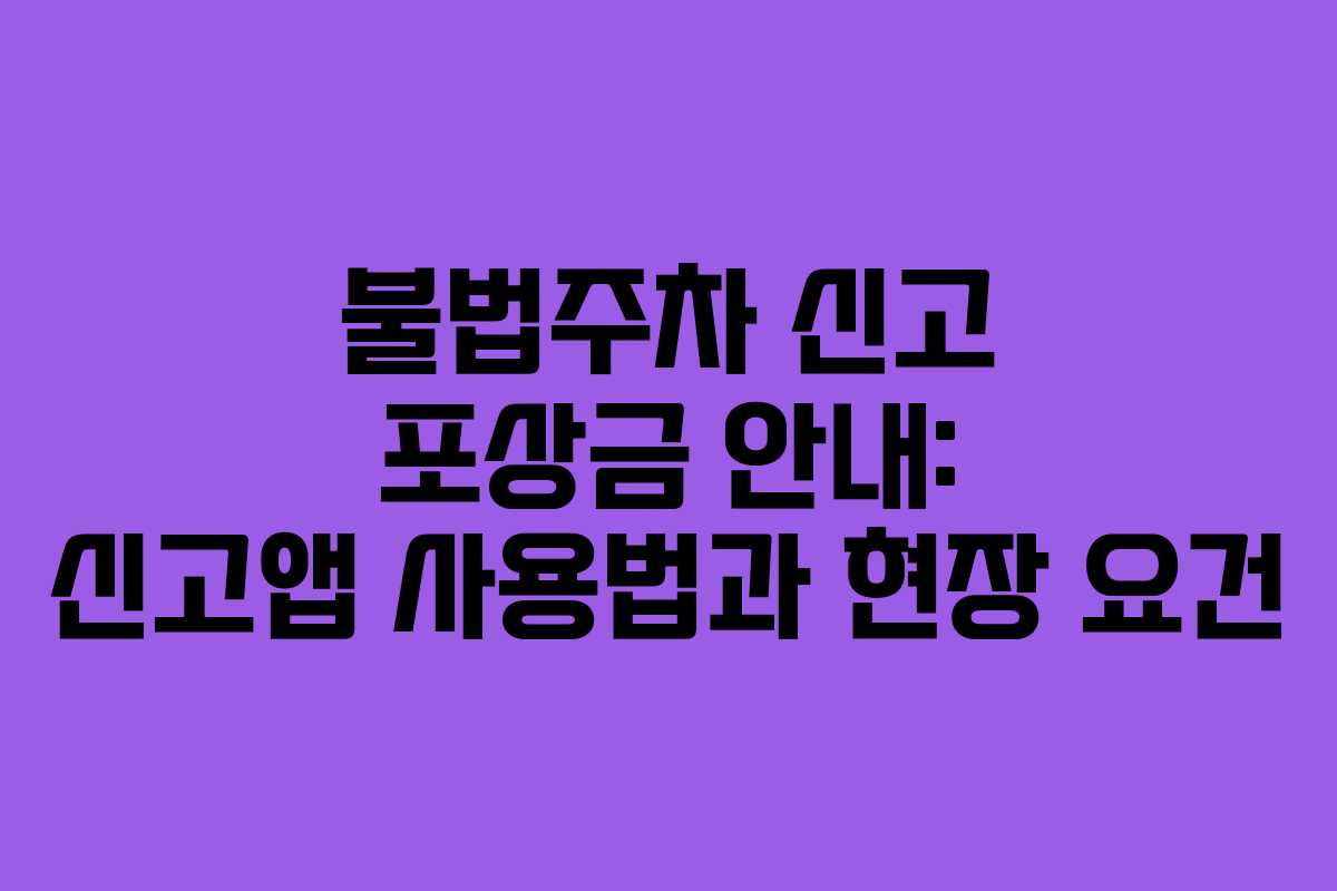 불법주차 신고 포상금 안내: 신고앱 사용법과 현장 요건