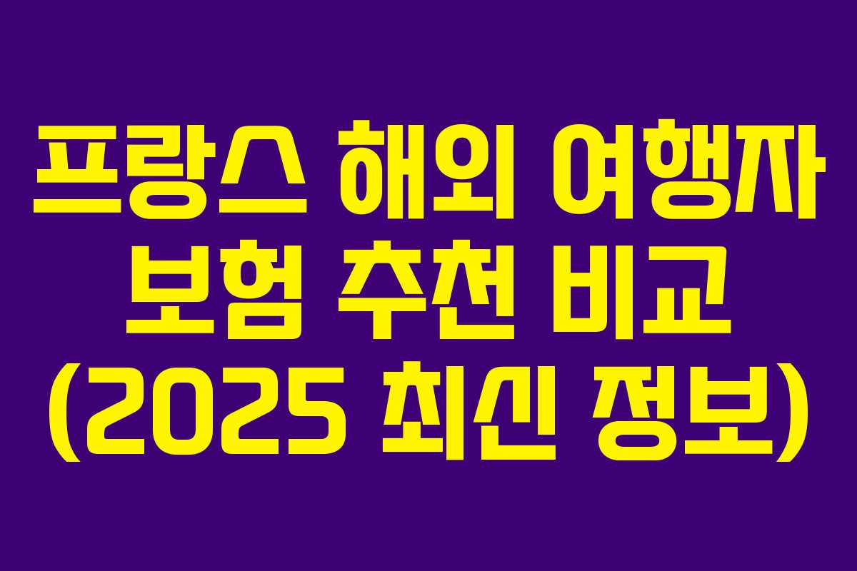 프랑스 해외 여행자 보험 추천 비교 (2025 최신 정보)