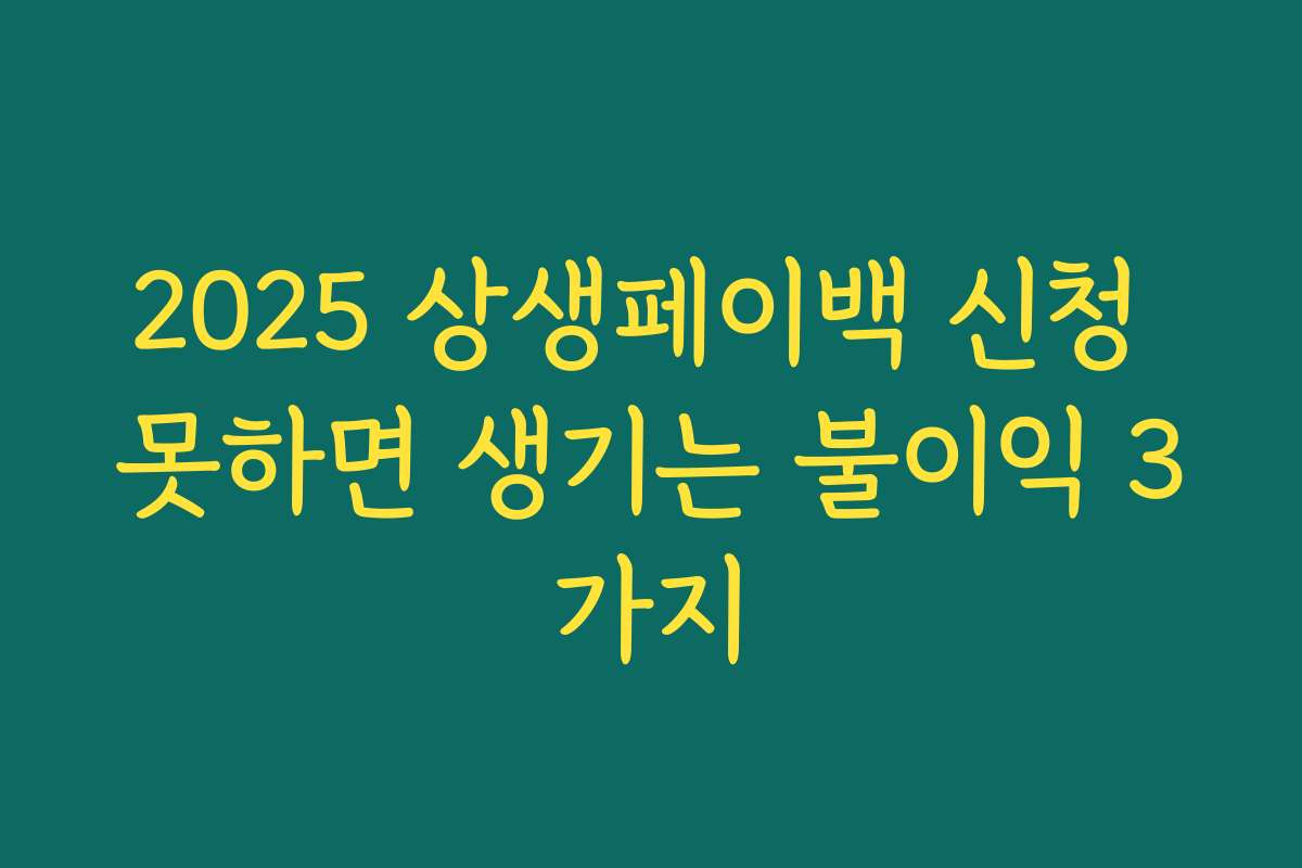 2025 상생페이백 신청 못하면 생기는 불이익 3가지