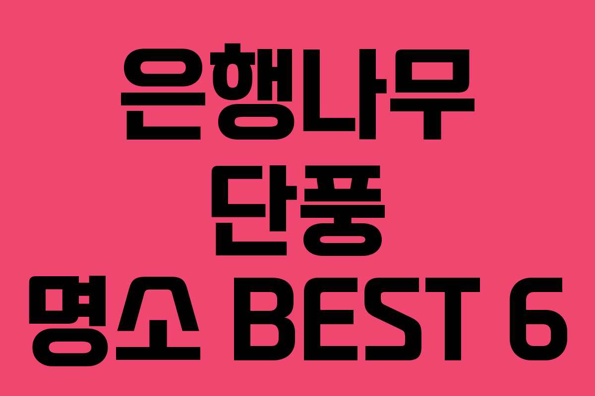 은행나무 단풍 명소 BEST 6