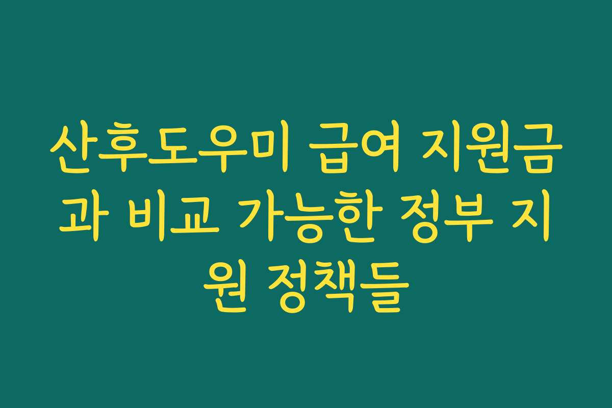 산후도우미 급여 지원금과 비교 가능한 정부 지원 정책들