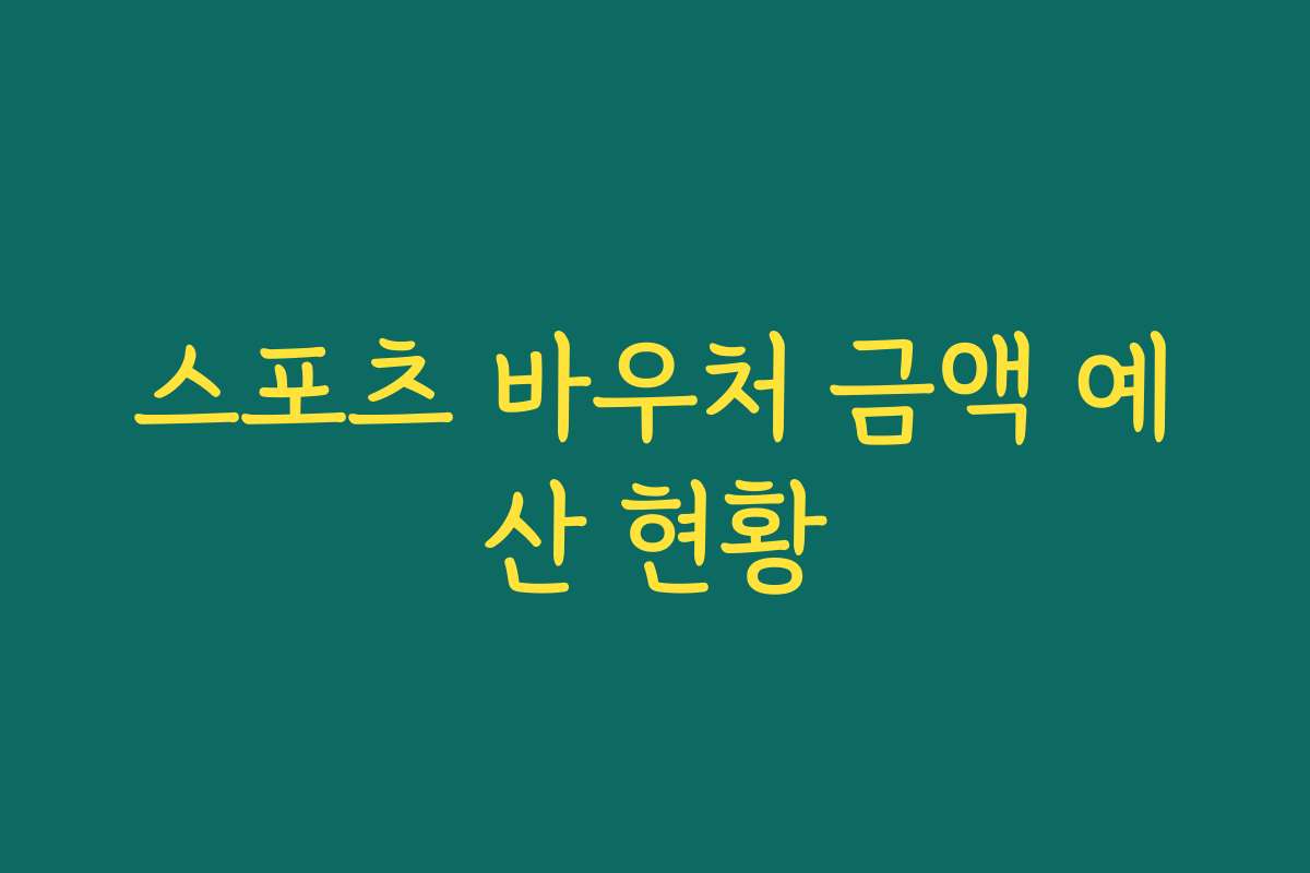 스포츠 바우처 금액 예산 현황