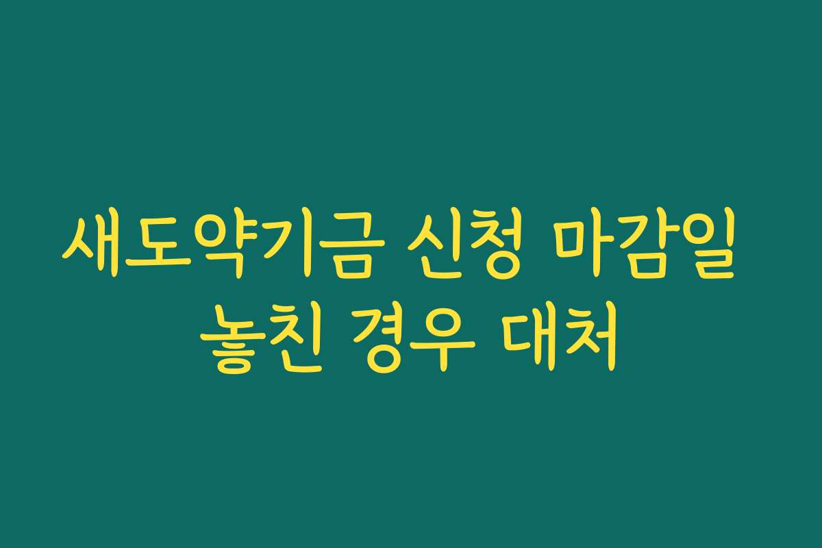 새도약기금 신청 마감일 놓친 경우 대처