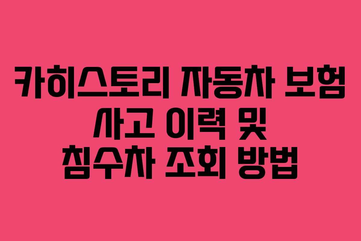 카히스토리 자동차 보험 사고 이력 및 침수차 조회 방법