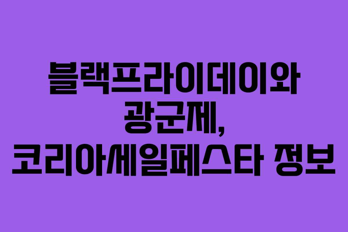 블랙프라이데이와 광군제, 코리아세일페스타 정보 블랙프라이데이와 광군제, 코리아세일페스타 정보