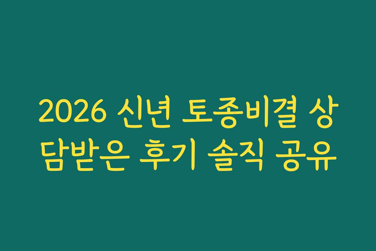 2026 신년 토종비결 상담받은 후기 솔직 공유