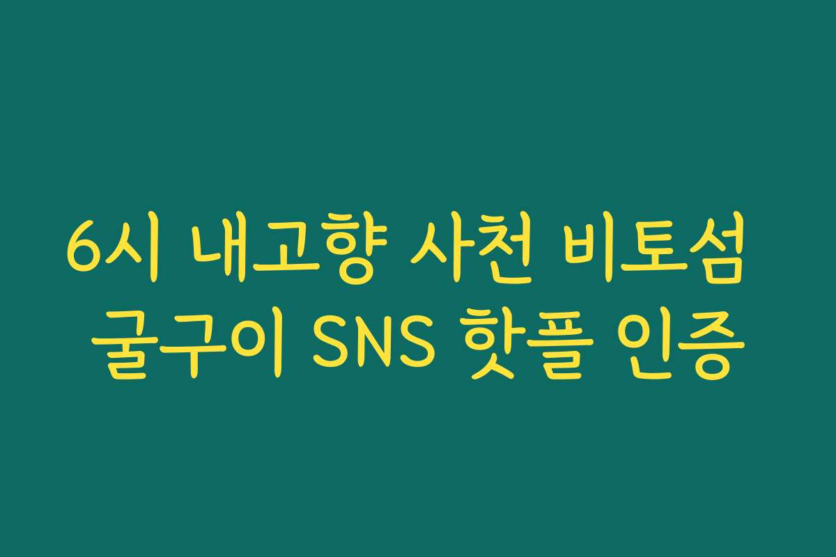 6시 내고향 사천 비토섬 굴구이 SNS 핫플 인증
