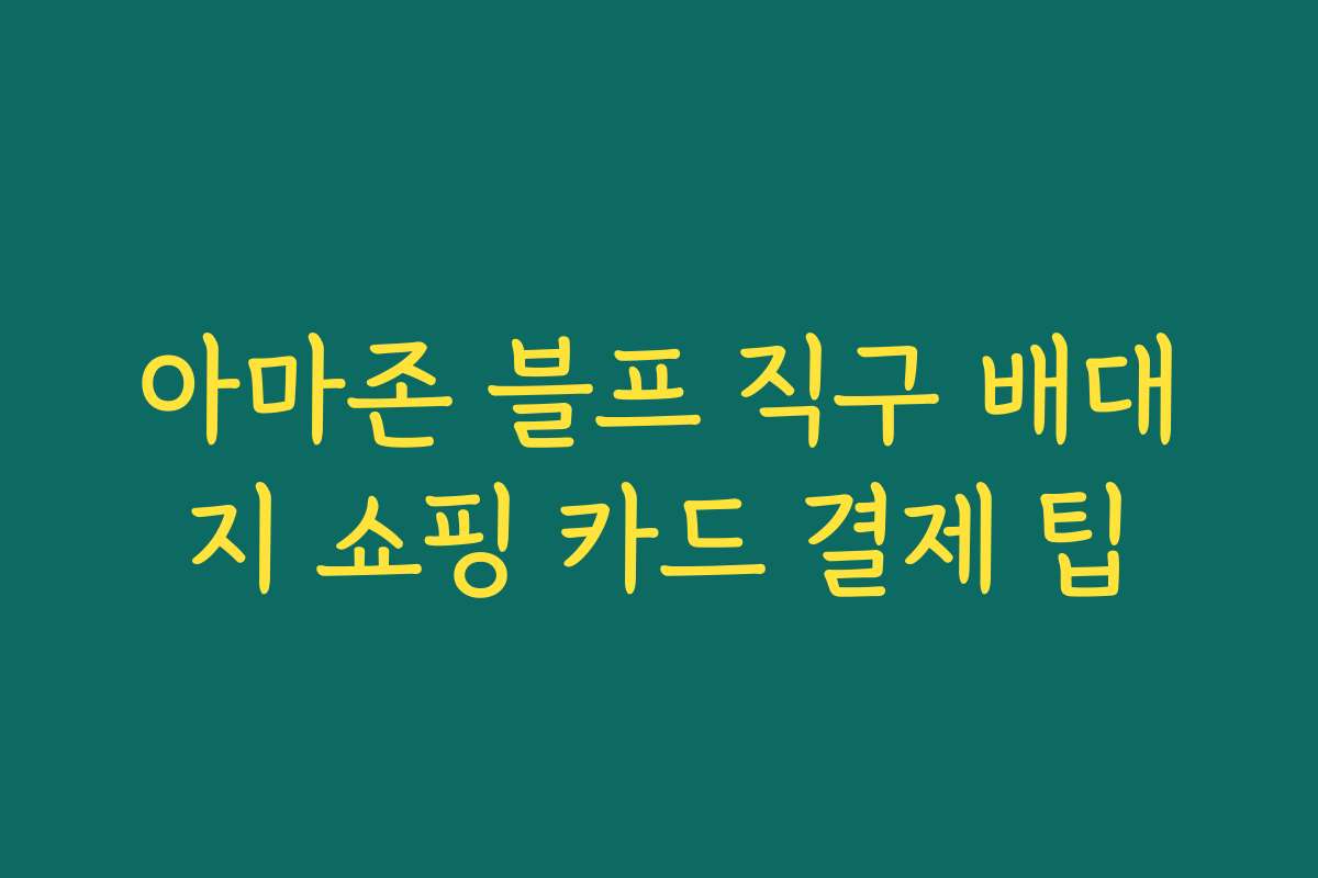 아마존 블프 직구 배대지 쇼핑 카드 결제 팁