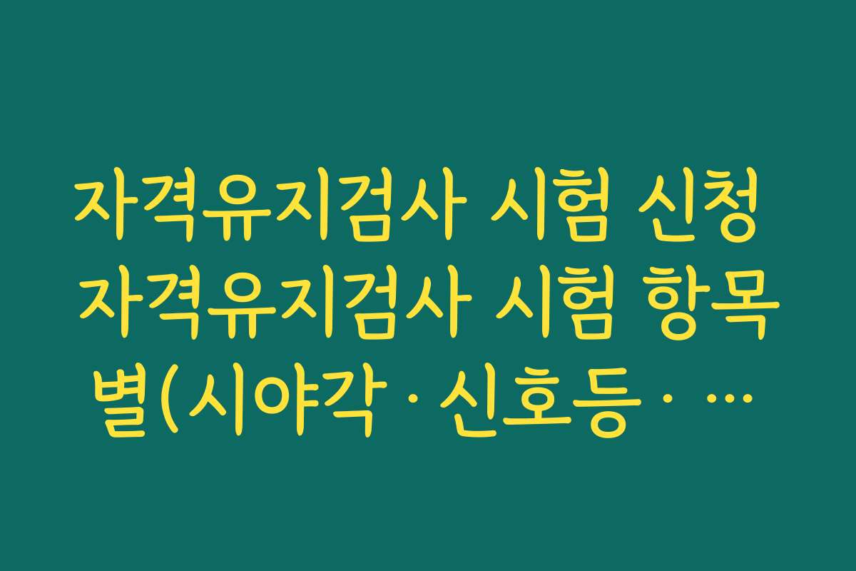 자격유지검사 시험 신청 자격유지검사 시험 항목별(시야각·신호등·도로찾기 등) 진행 순서 이해하기