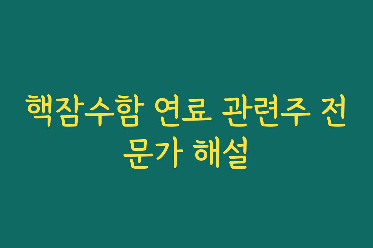 핵잠수함 연료 관련주 전문가 해설
