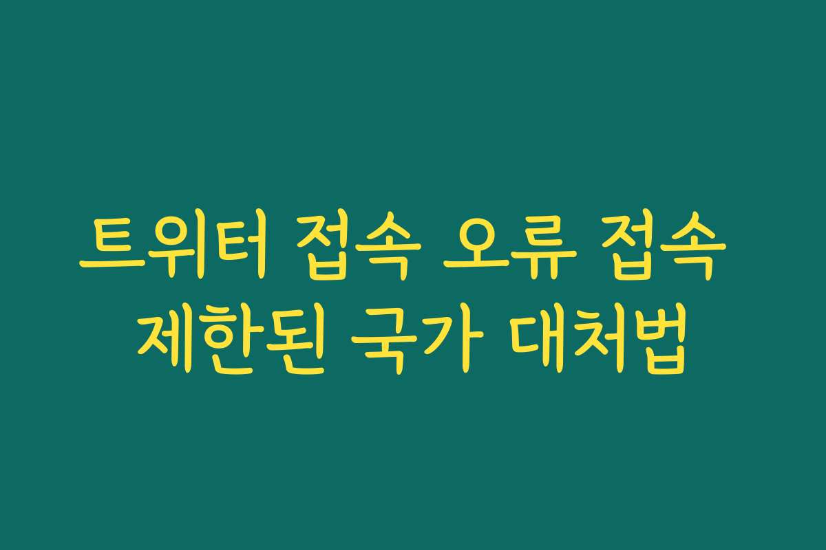 트위터 접속 오류 접속 제한된 국가 대처법