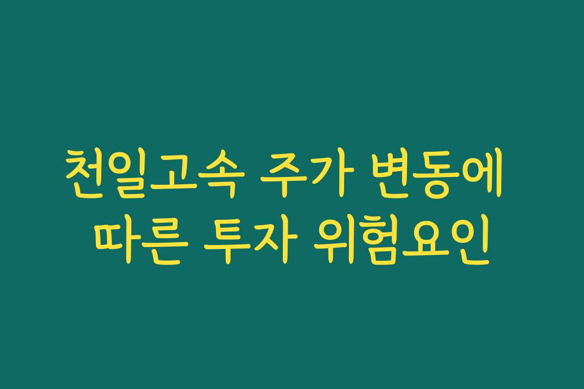 천일고속 주가 변동에 따른 투자 위험요인