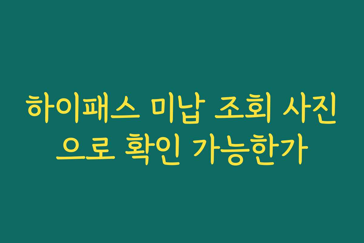 하이패스 미납 조회 사진으로 확인 가능한가
