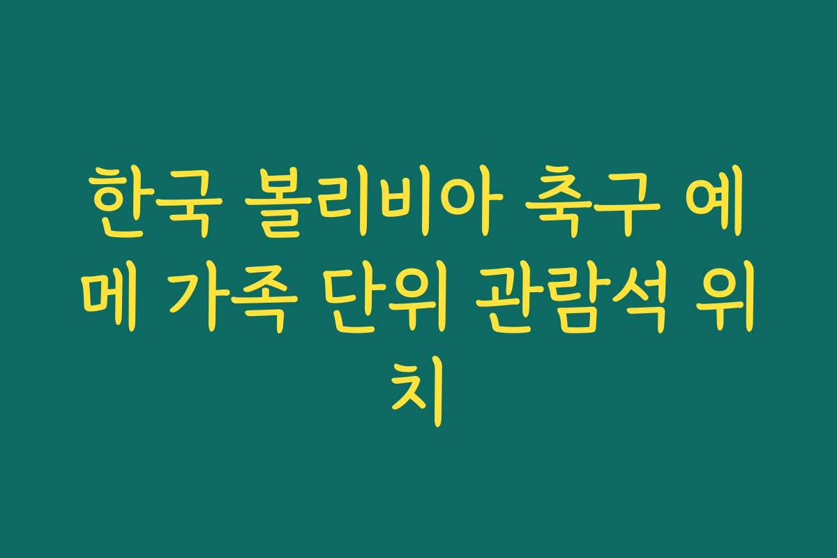 한국 볼리비아 축구 예메 가족 단위 관람석 위치