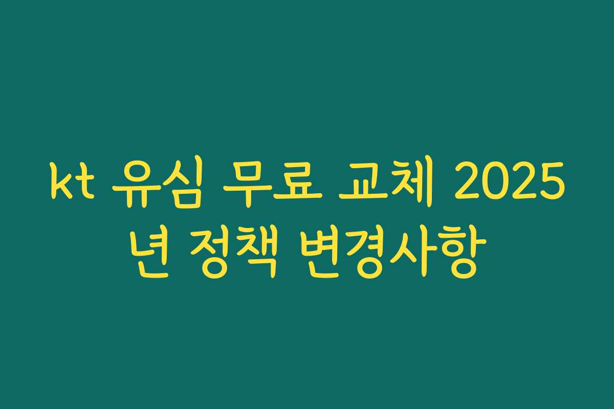 kt 유심 무료 교체 2025년 정책 변경사항