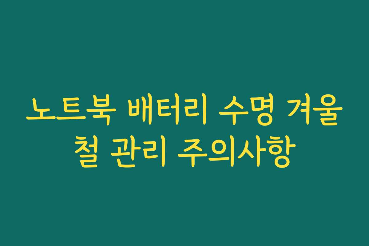 노트북 배터리 수명 겨울철 관리 주의사항