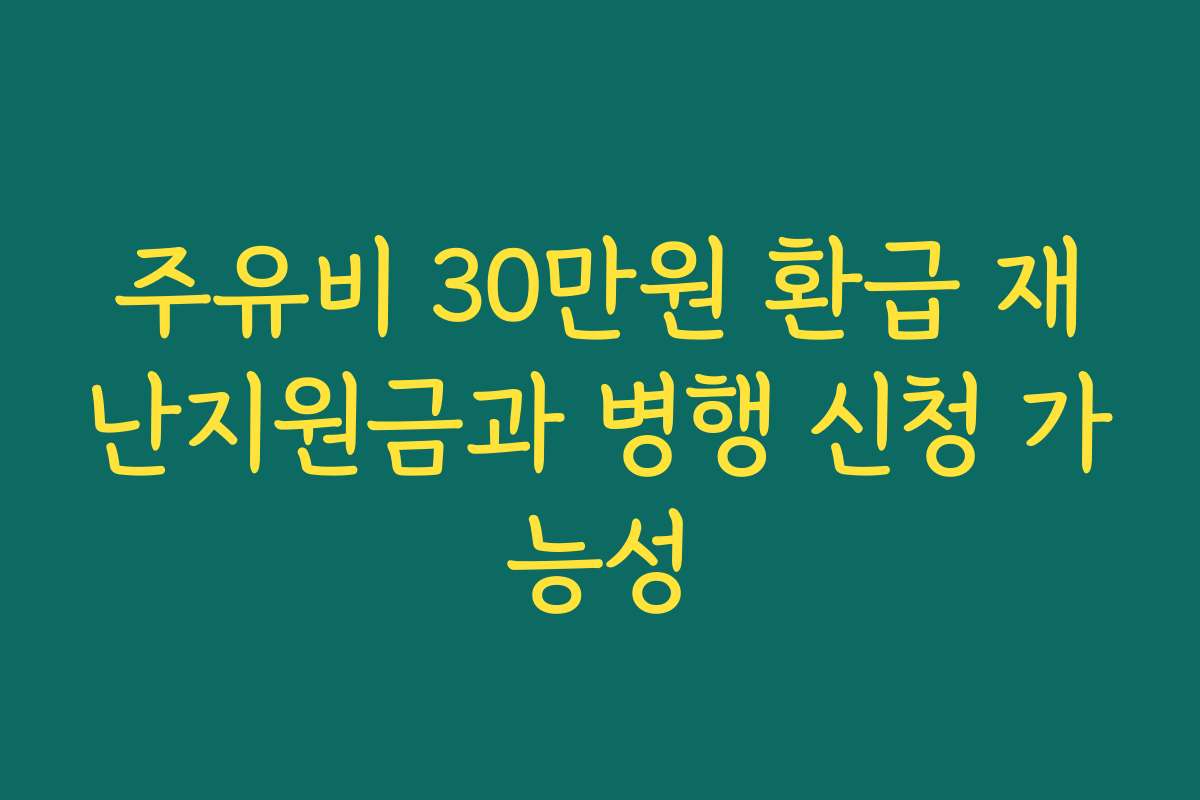 주유비 30만원 환급 재난지원금과 병행 신청 가능성
