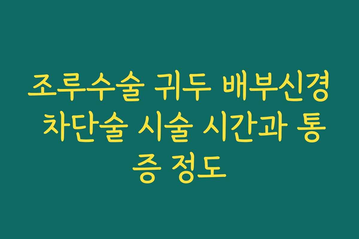 조루수술 귀두 배부신경 차단술 시술 시간과 통증 정도