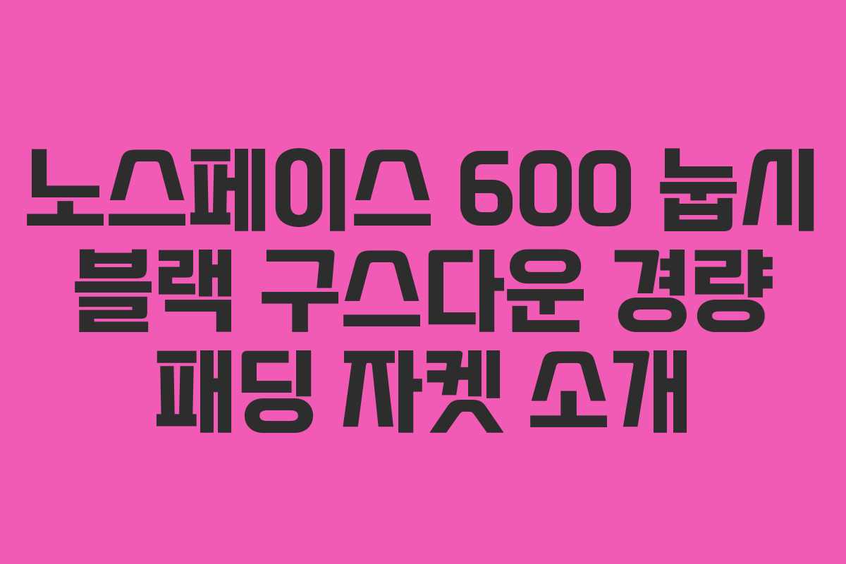 노스페이스 600 눕시 블랙 구스다운 경량 패딩 자켓 소개