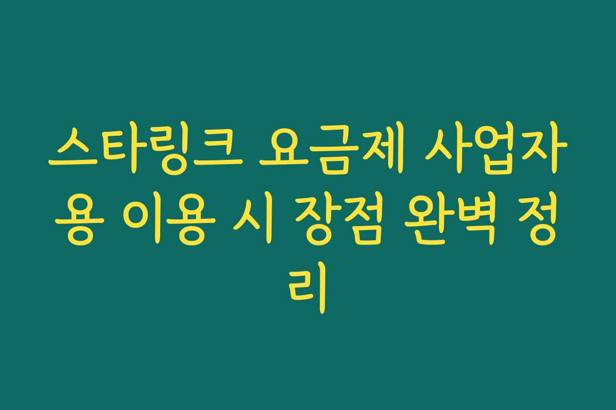 스타링크 요금제 사업자용 이용 시 장점 완벽 정리