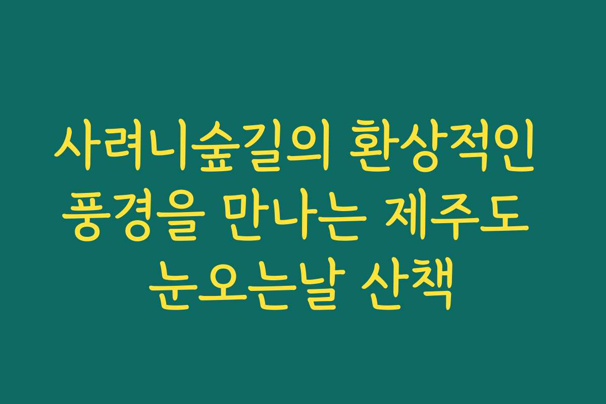 사려니숲길의 환상적인 풍경을 만나는 제주도 눈오는날 산책