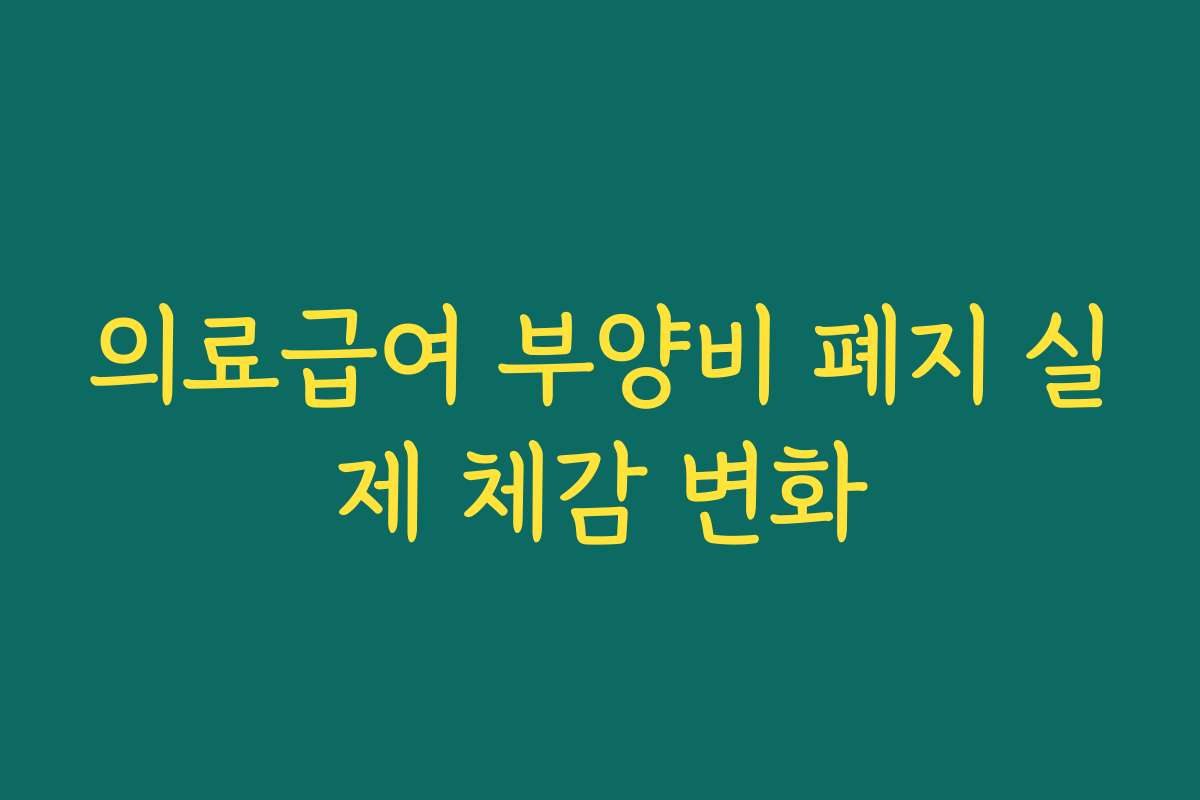 의료급여 부양비 폐지 실제 체감 변화
