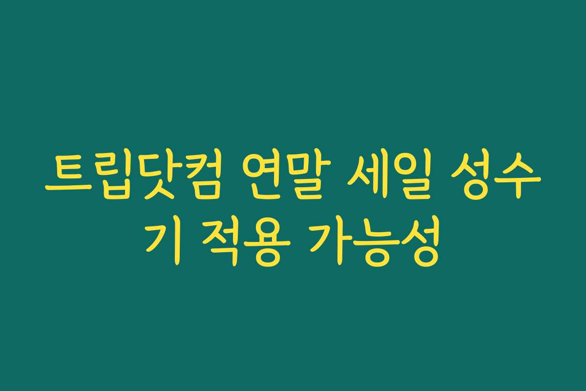 트립닷컴 연말 세일 성수기 적용 가능성