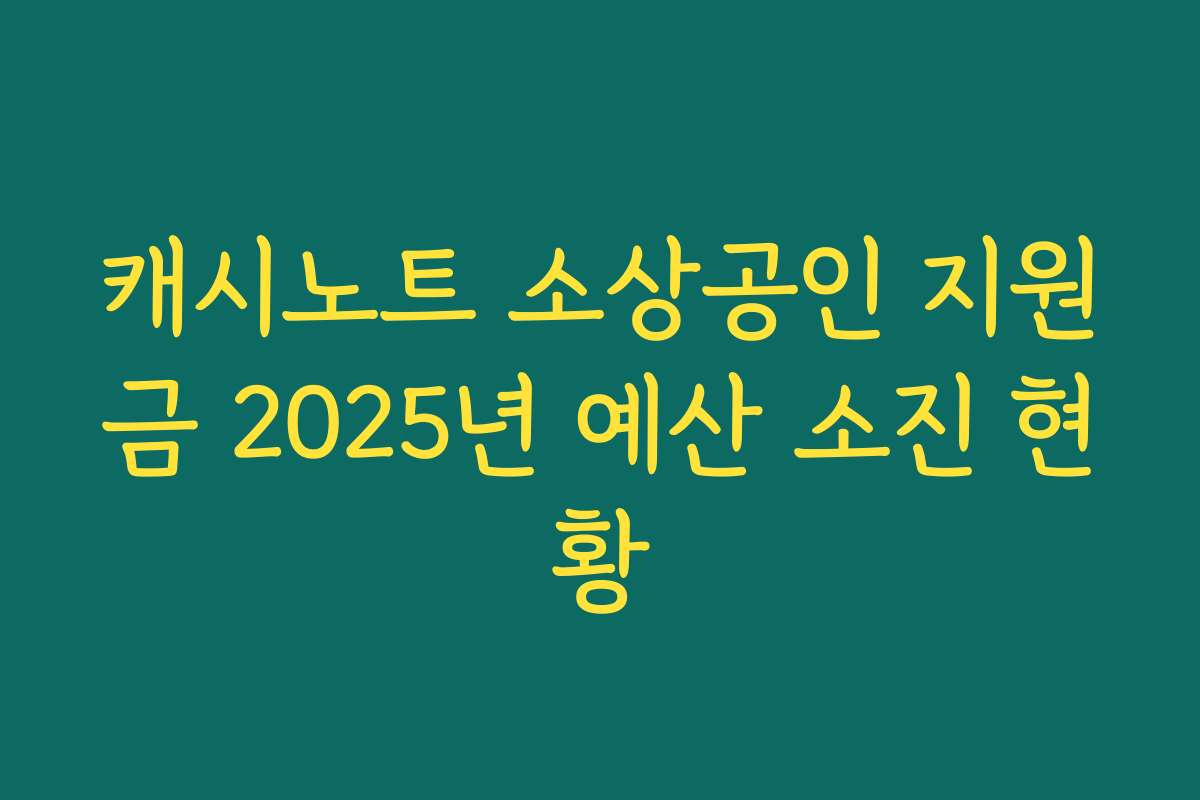 캐시노트 소상공인 지원금 2025년 예산 소진 현황