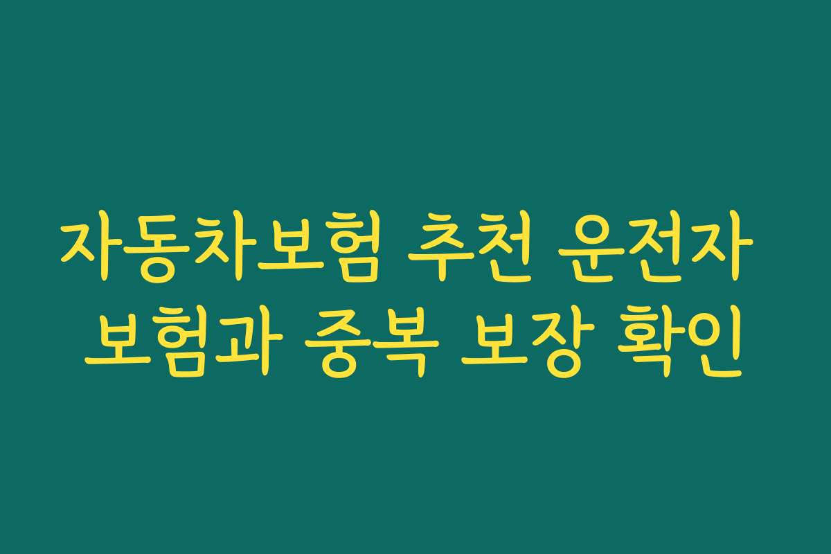자동차보험 추천 운전자 보험과 중복 보장 확인